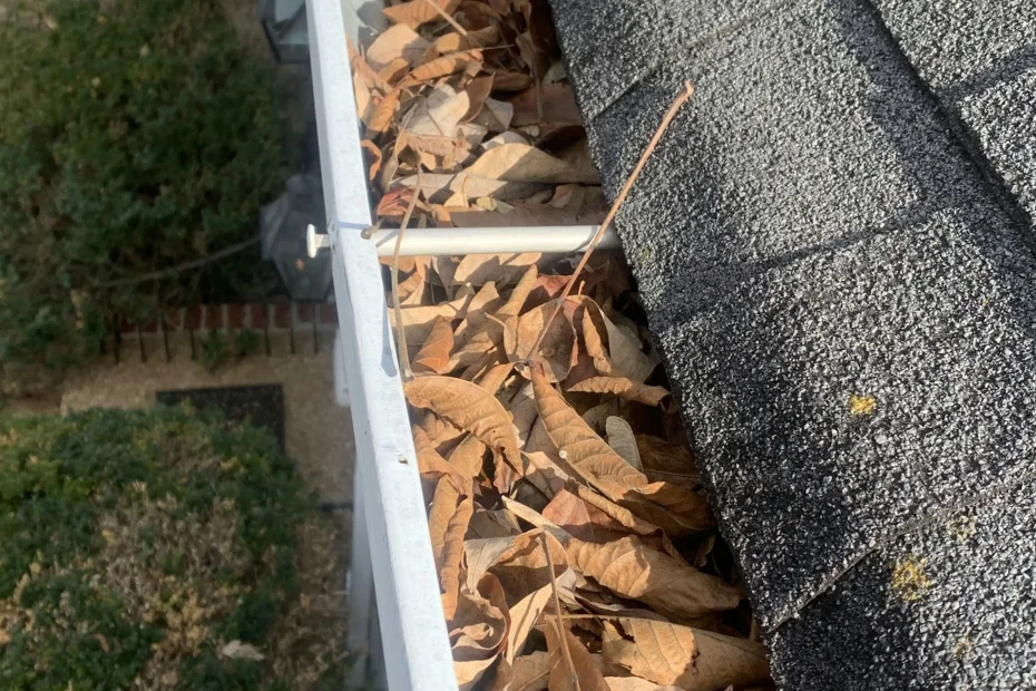 Gutter Cleaning Easton PA