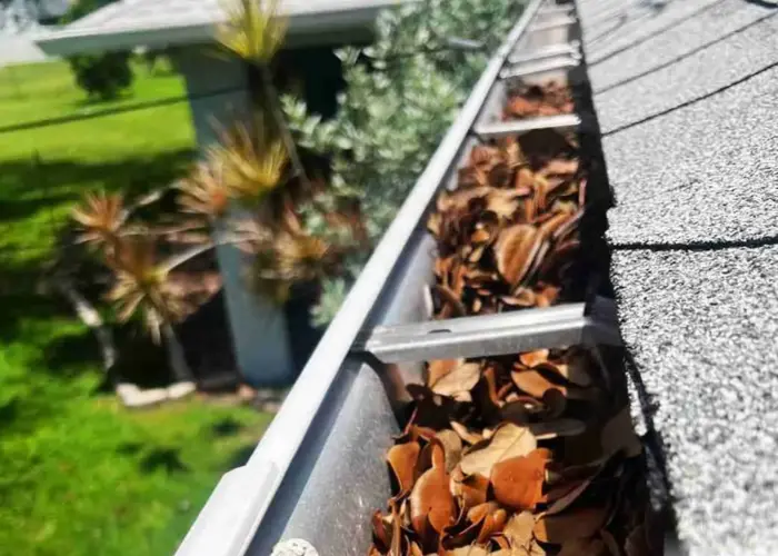 Gutter Cleaning Easton PA home page